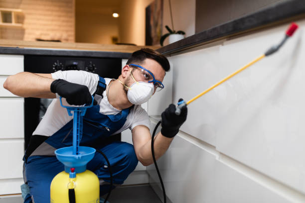 Best Termite Control Services  in Royston, GA