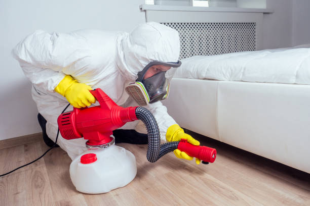Best Pest Control Near Me  in Royston, GA