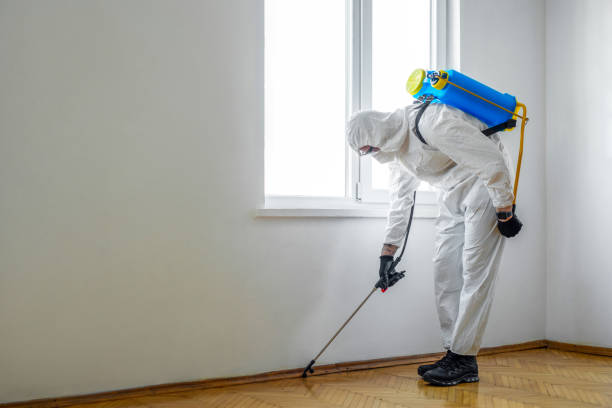 Best Exterminator Services  in Royston, GA