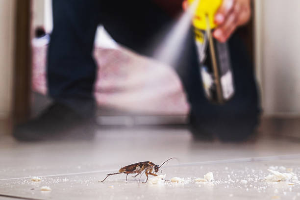 Best Emergency Pest Control  in Royston, GA