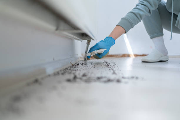 Best Best Pest Control Companies  in Royston, GA